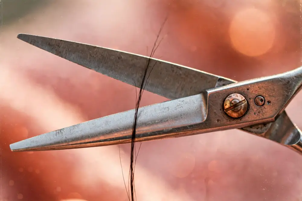 Scissors closing on a single strand of hair
